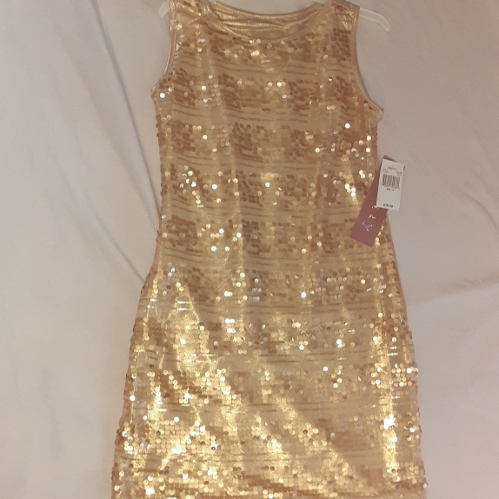 Biscotti Gold Dress